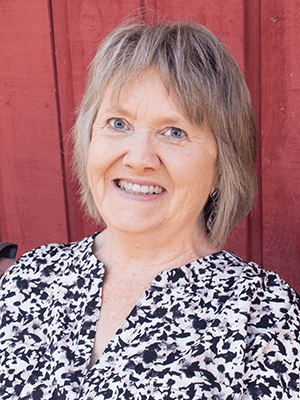 Judy A. Lutz, author of Glass Walls